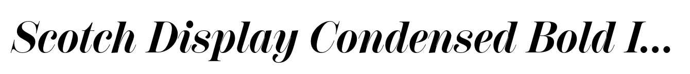 Scotch Display Condensed Bold Italic